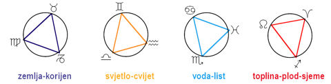 Trigoni